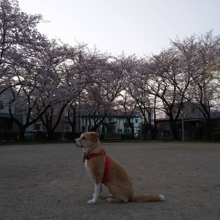 87fe0d7a 4b67 4b31 88b1 6a495d9026bf 1522057587903