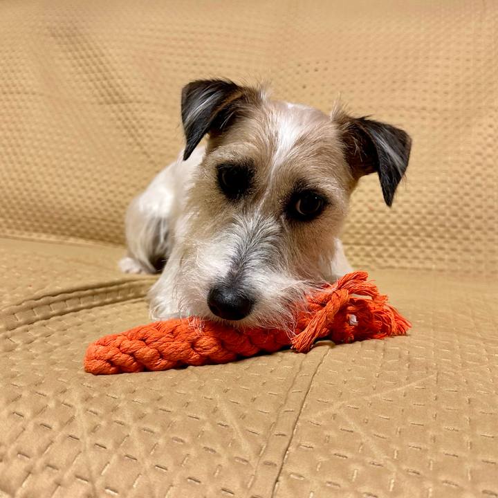 87fe170e a8d8 44ac 9608 da78fb4a456f 1707572084041