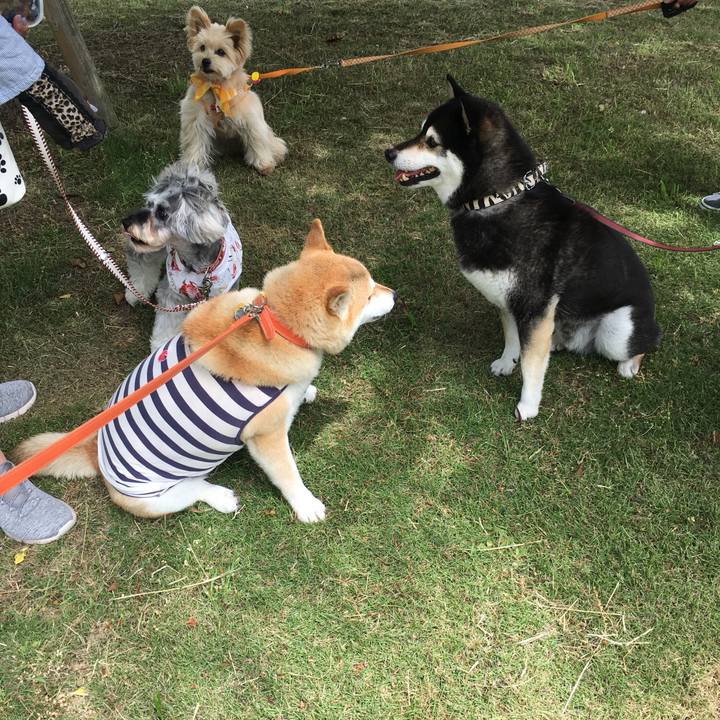 87fe4b25 fd37 46ca 8210 3d38de005600 1559533071142