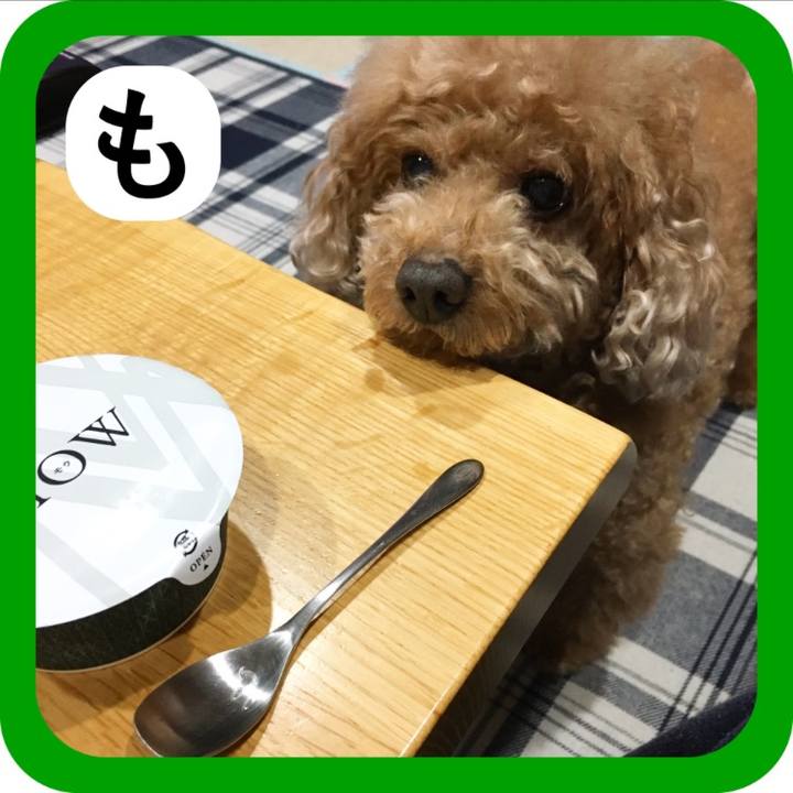 87fe5d47 ea91 4001 97fe 2104fa582b7a 1514819185847