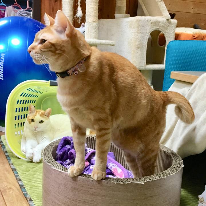 87fe85ae 0d79 4f67 9ef1 fd3e8676c64a 1548854236650