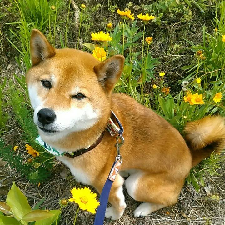 87fe874a 6e1e 4946 94bd f10bc9ad65f7 1559261186985