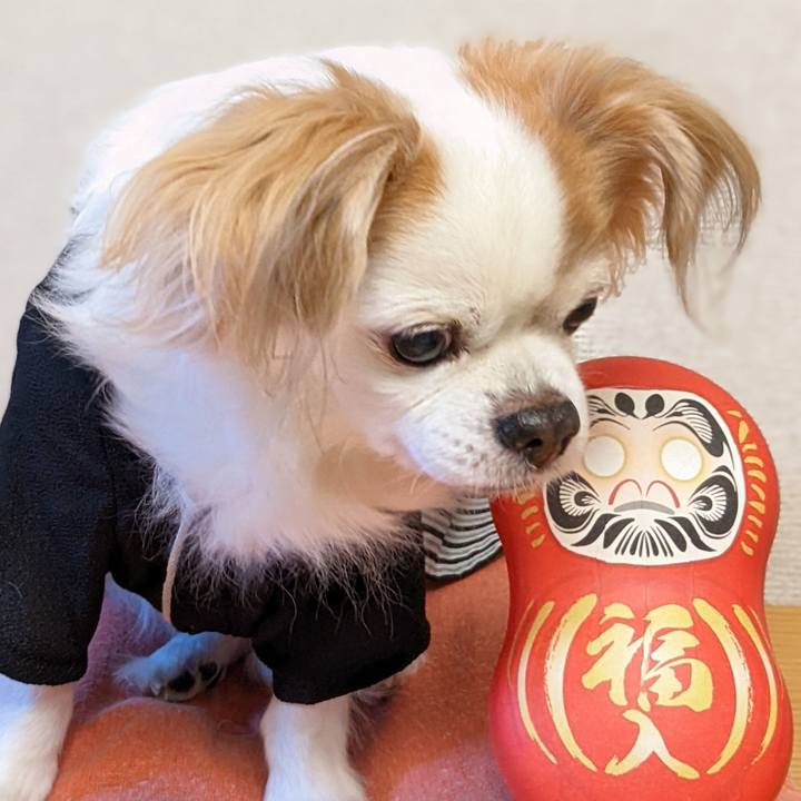 87fe883b f6ff 4c35 b90f de73c8591d79 1641790263880