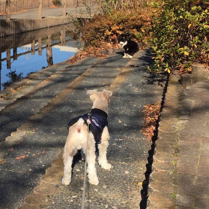 87fe997a 68c2 4bfe 8de1 467f49a1c281 1546676864760