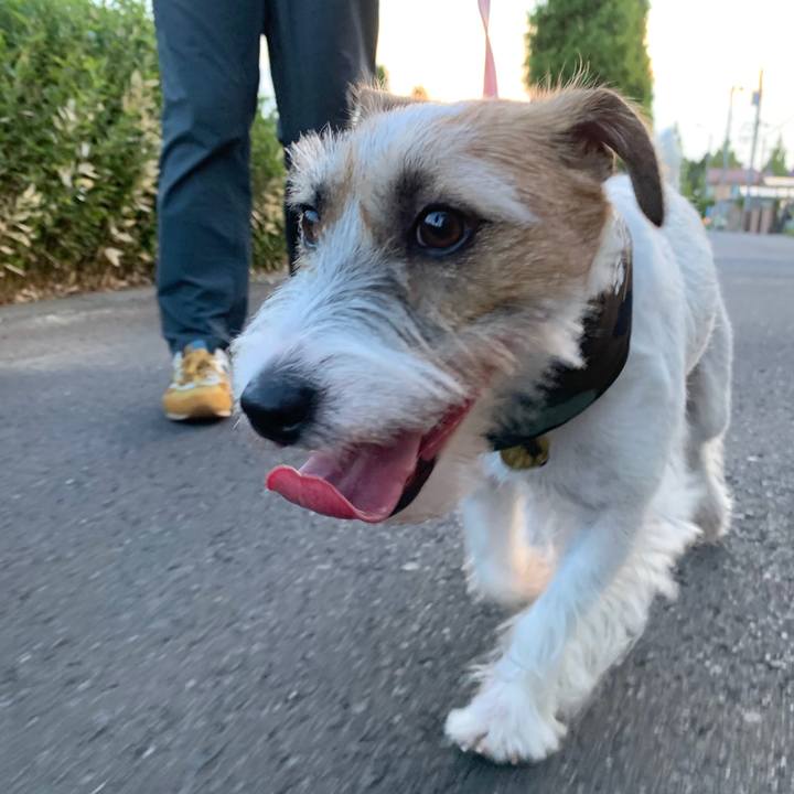 87feba2a 5102 46a0 b7c6 c2d47d21e035 1598795397602