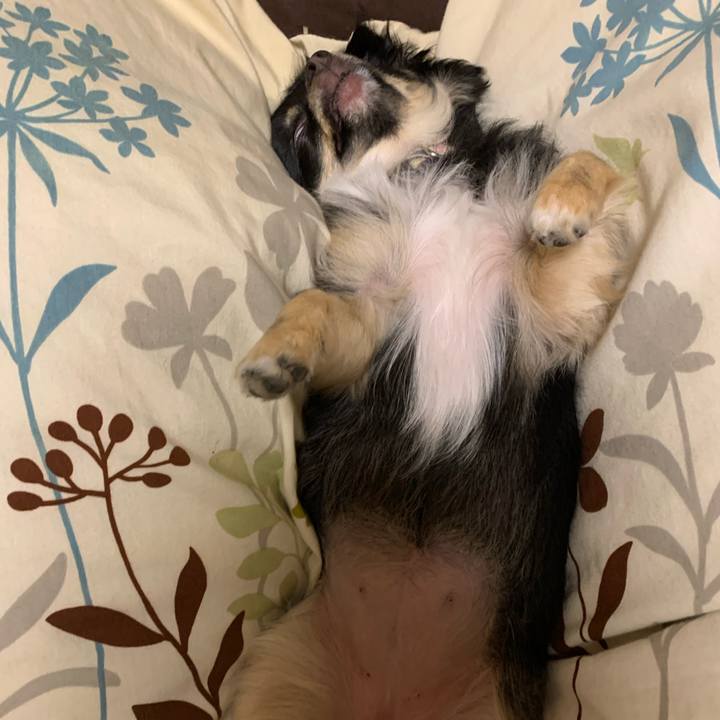 87fed22d 3ecf 402d b2ef 767a7001d205 1606427562205