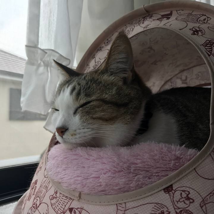 87fed66c 236f 4496 99f6 efa2e1aad765 1553225971650