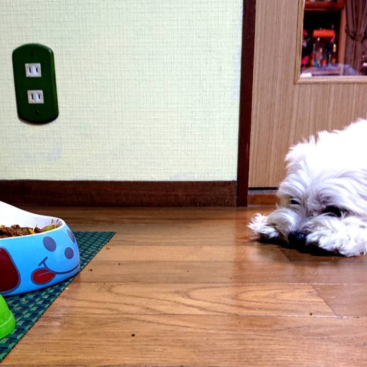 87fef08d 6cb4 40a8 809a b128c65e55d1 1532692377302