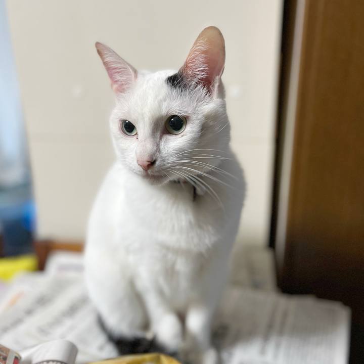 87fef7ae acf8 4f9f 9e71 18206202df29 1764110917518