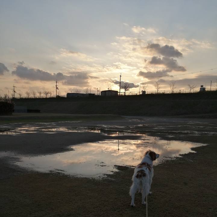 87ff3d12 6ceb 4527 b4b4 2f1e7d0ba94b 1577094554943