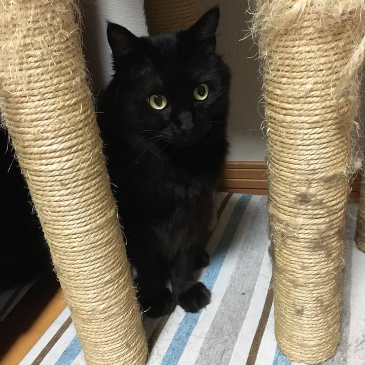 87ff5634 1d5a 482d 996d 219381620352 1523453724706