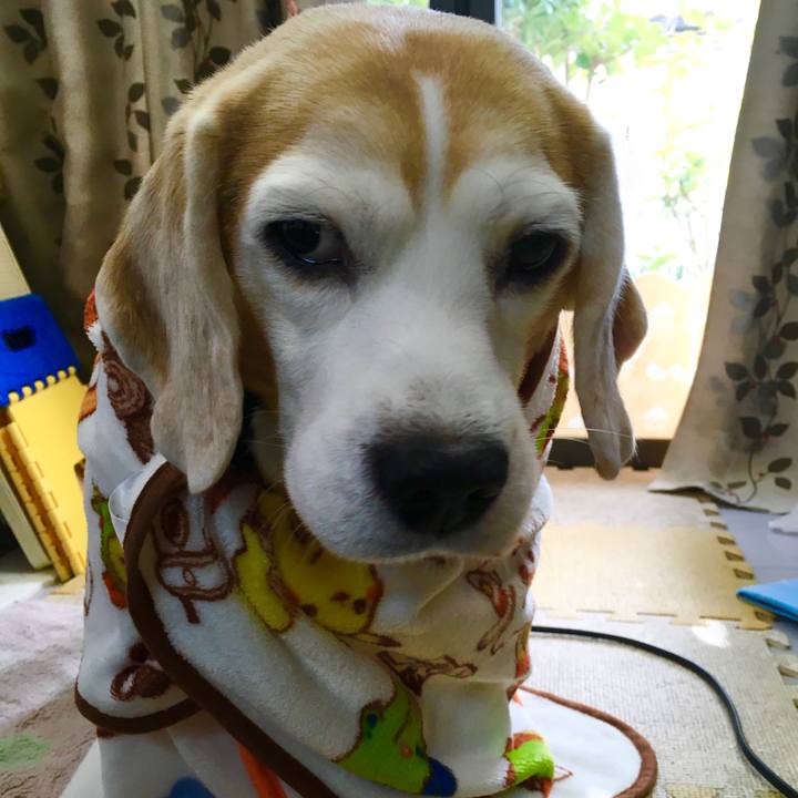 87ff862f beb1 41b8 bb85 5bb48955bc5a 1577603558900