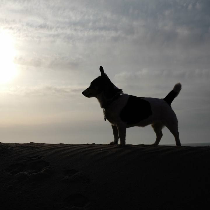 88000869 276e 4082 9ae8 484c6264198a 1524199272698