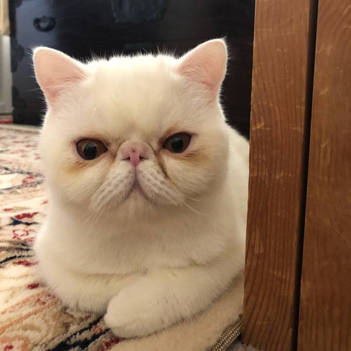 88003f49 9595 42d7 bfb5 ab420b66298c 1572056551559