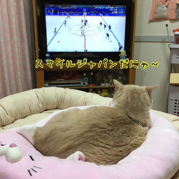 8800454c b33f 4345 b6a1 c6e762c45b37 1518489016189