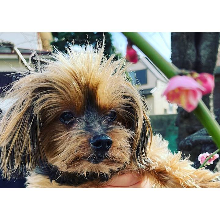 88007d44 b810 4469 93fd 6cae897aa1d6 1676181480973