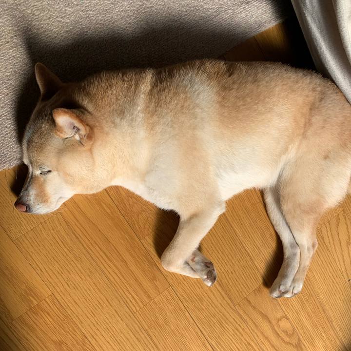 880082cd fd99 4975 95ec df1e390fdc08 1644633040847