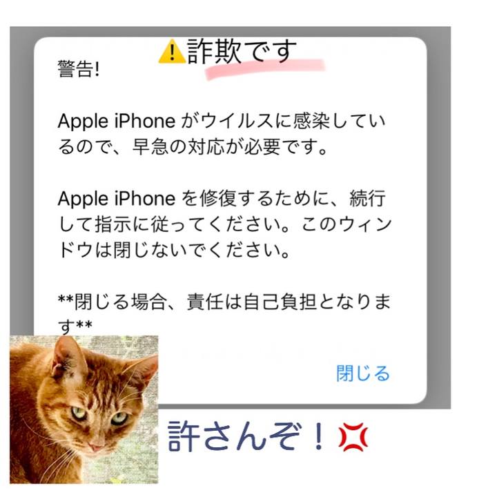 88009c16 3ae5 4e19 8386 da922fe674e8 1540536721878