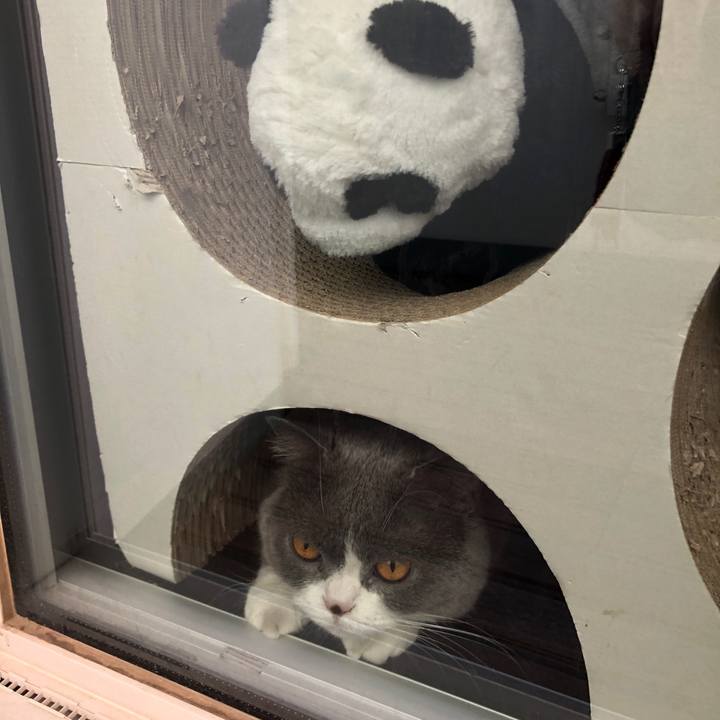 8800c1af 9a6a 40bd b6fb 2eaa009d1c3f 1528264220474