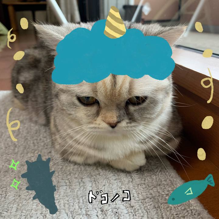 8800c2e5 c634 48af a6c2 b08721330081 1706770224309