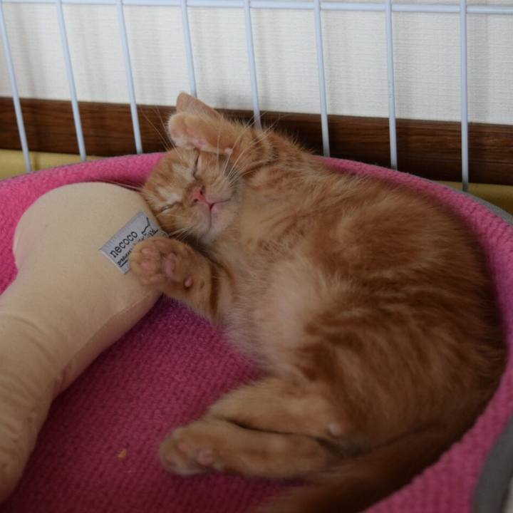 8800d67d 133e 49a9 a9f3 db012380ab8f 1559406112861