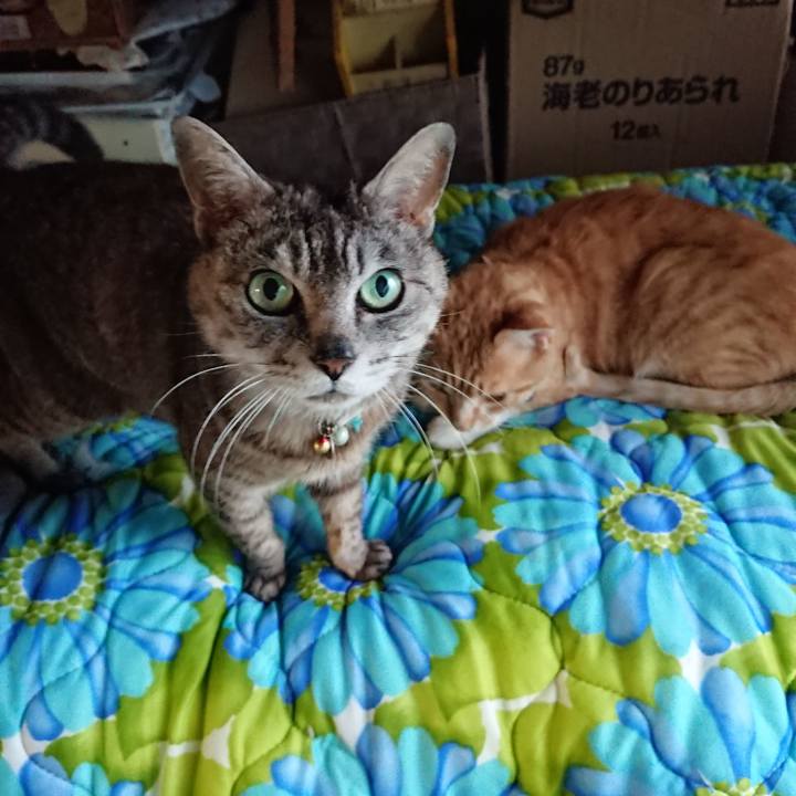 8800ee07 69f3 42cc bf44 8bab9f4da580 1561193704960