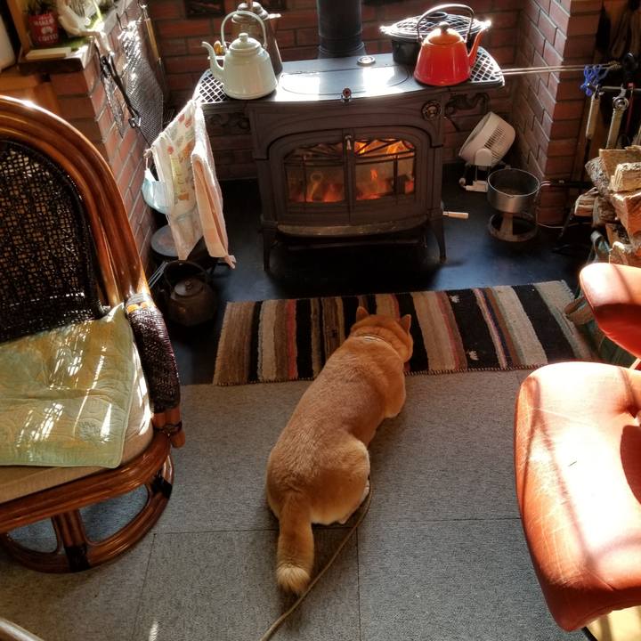 88011847 b6b9 46a5 9592 37928dcb8dbc 1617316397219