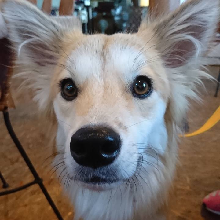 8801195d 0846 47c5 b09f c45bb2e5d2bc 1534510241807