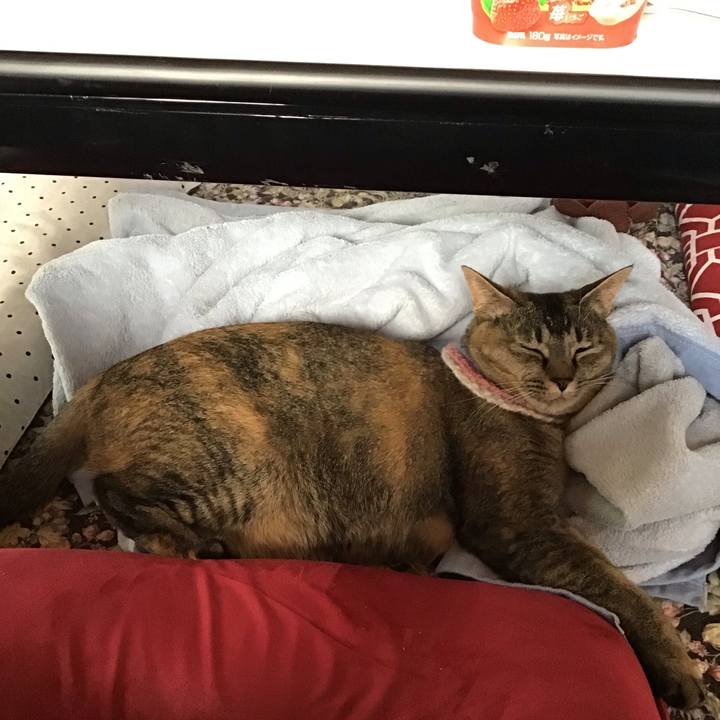 88014eaf 483c 4f55 8d23 17c5fa134c22 1623971525539