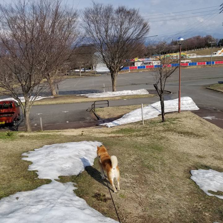 880155e4 e048 47e1 90ed fb502d4b4528 1649831848243