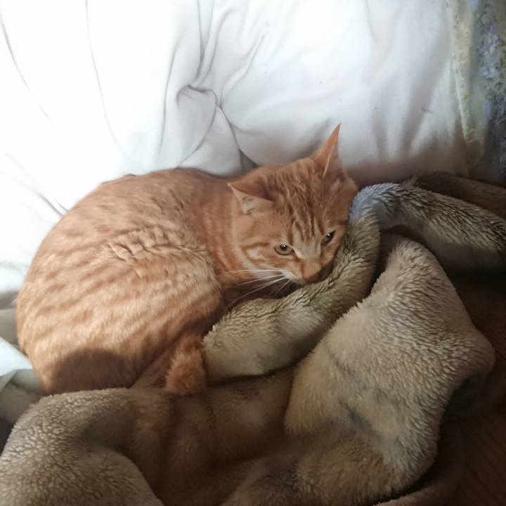 88017029 09b9 412f b3ab cfa2c01c0d78 1649202894279