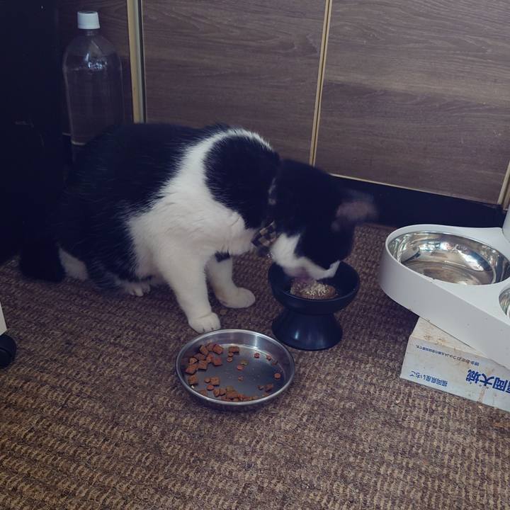 88019e63 e937 450b acc2 f2132761b89c 1759012182594