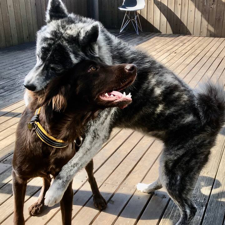 8801aa4e cfef 4a29 9035 4dae762c87a9 1579583181379