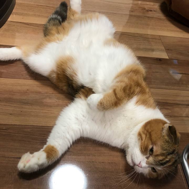 8801ad0a afb5 41af 996e 1fe51bc9feea 1569144912215