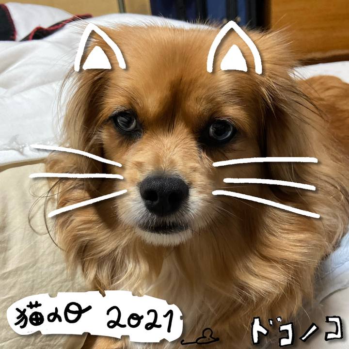 8801bf5f 1876 4e9a 858e 3093f021e5c8 1613961672774