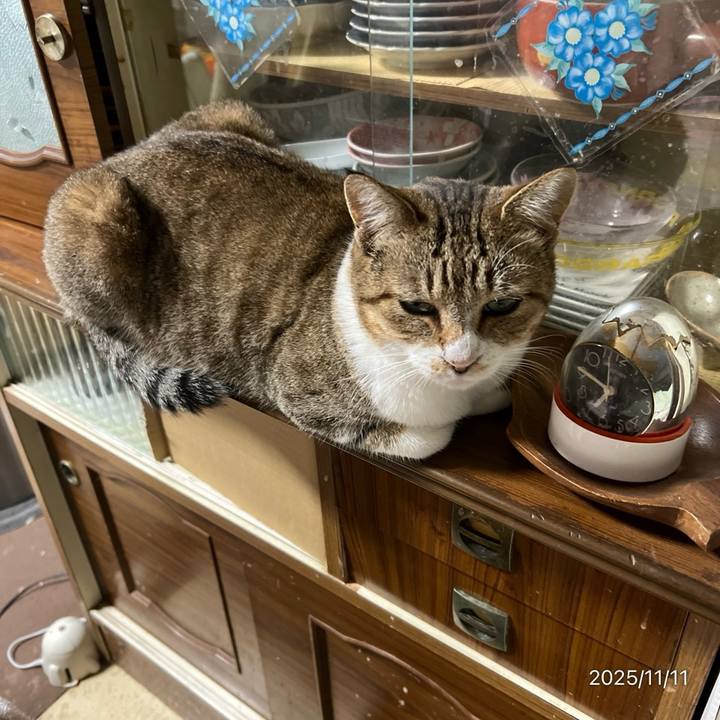 8801bfbb 6774 4b21 92c1 b8df7b9706e4 1762812575367