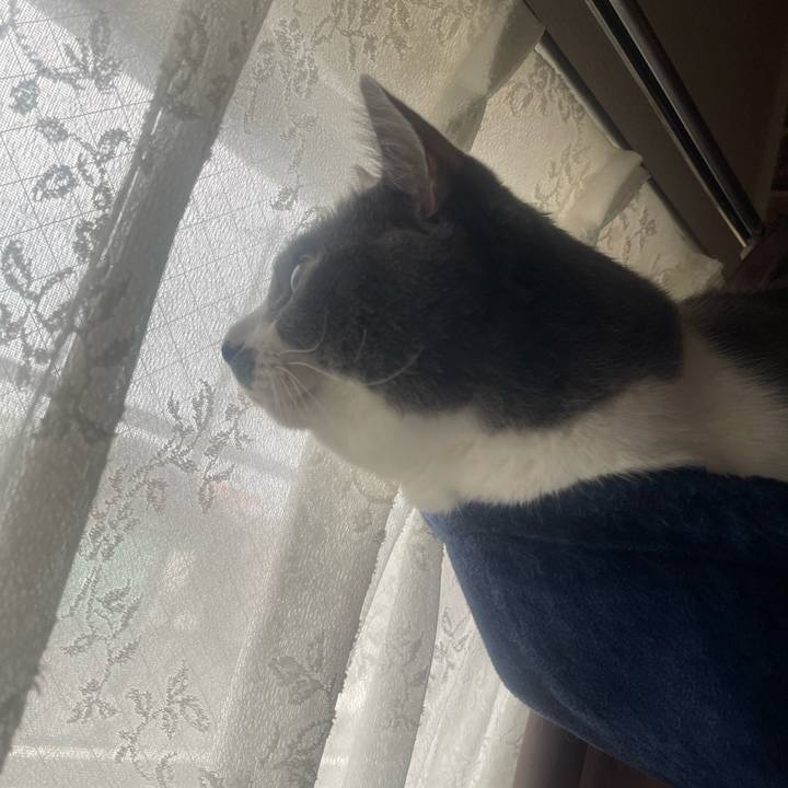 8801c4e0 feb6 412d 95d7 e19974853195 1728428416478