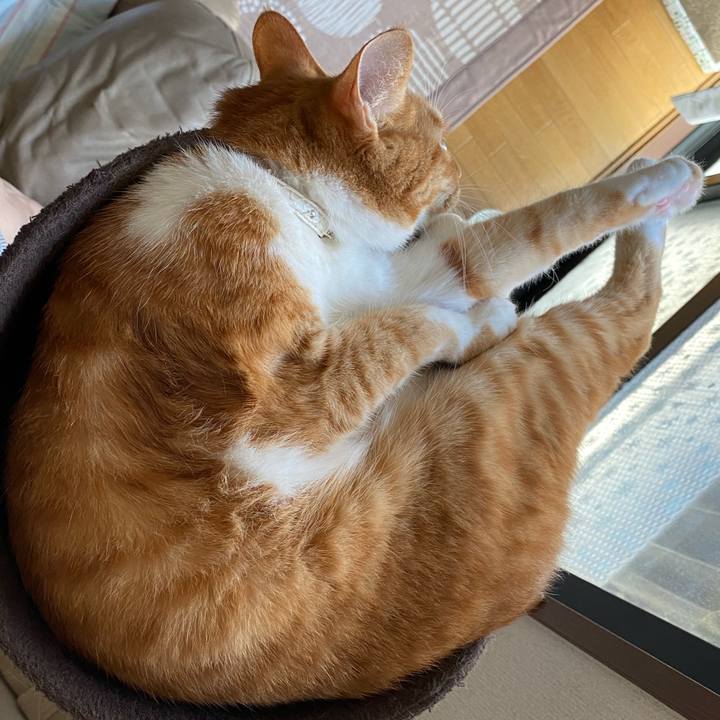 8801d1f0 0960 495c 8057 1a474c24bba0 1659182119576