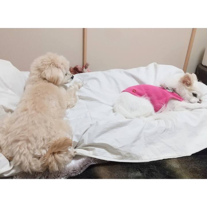 880225cd af60 40c0 a879 17d2a6aa77ca 1636791430430