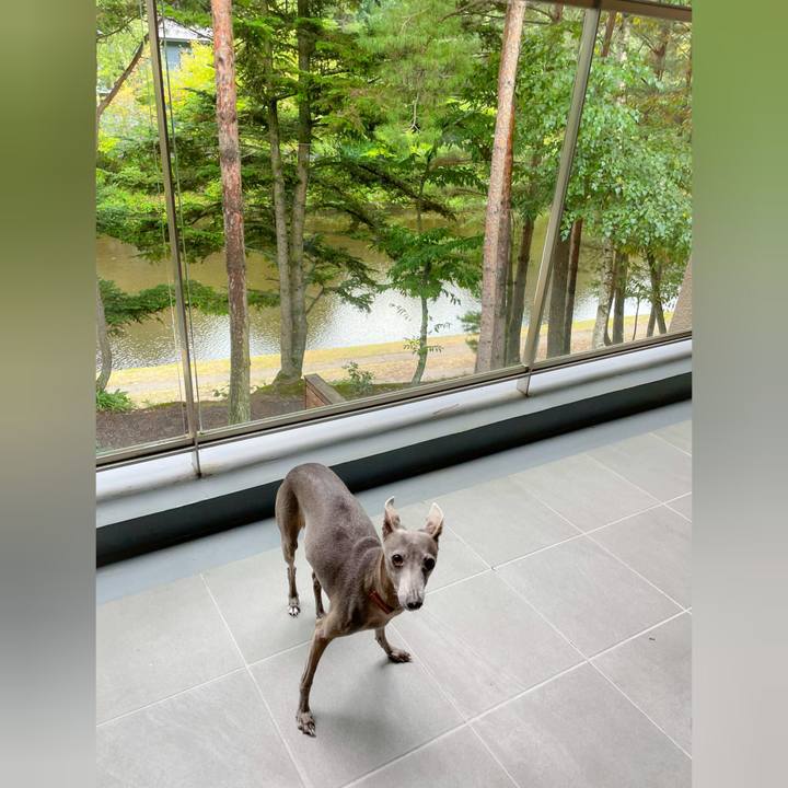 88023b44 9dee 4fac 82fd 4f4e379c6cc4 1758106798280