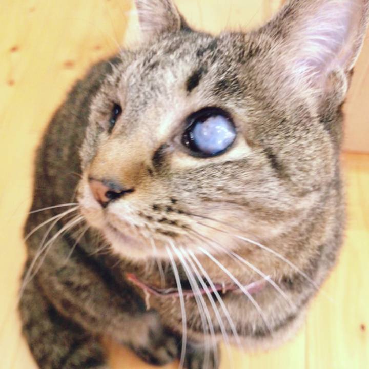 88029030 8c31 42ff b2b8 b188934edb6e 1523783572057