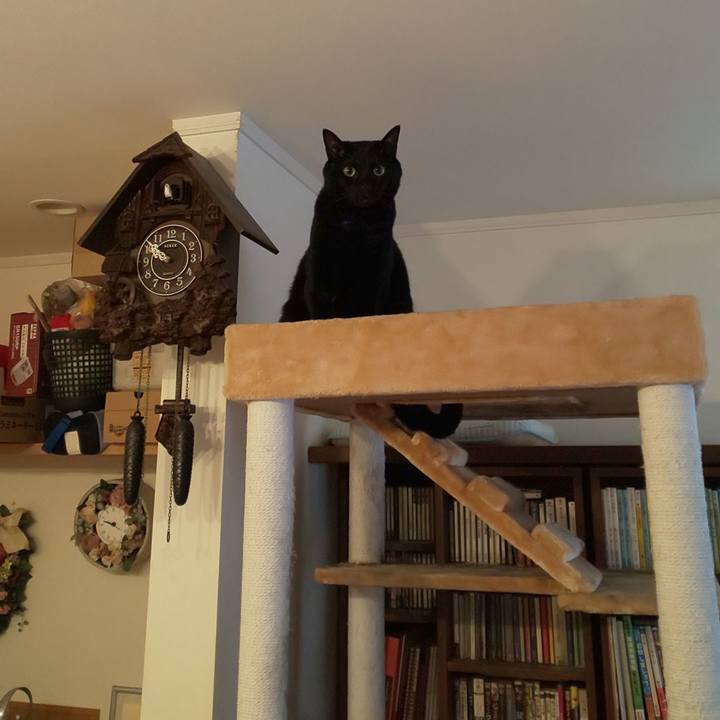 8802fa69 3dc4 405c aa2e 24736090e848 1683420800365