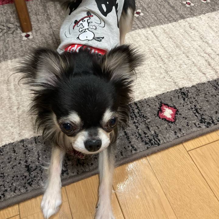 880309a5 b08f 47e7 bb2f afe2f02f750f 1616334576577