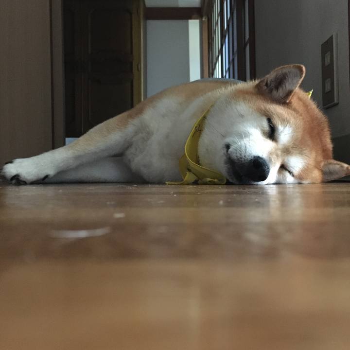 8803459e d81e 4ea2 bf3c 6fc8161af821 1599619771150