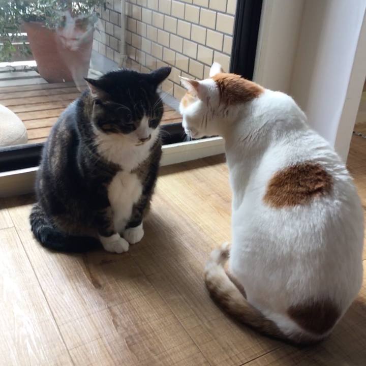 8803551a 214e 41bb 884f 749142624158 1553390483357