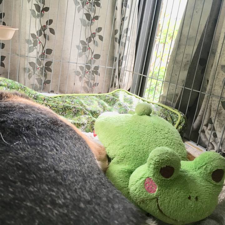 880366fb b15e 4b10 96bb a588bcaf9b4d 1537244476614