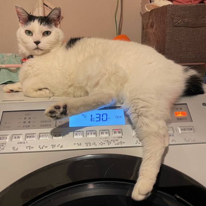 8803a36e 7e9b 484f ac08 657d4f4ddab6 1712151978578