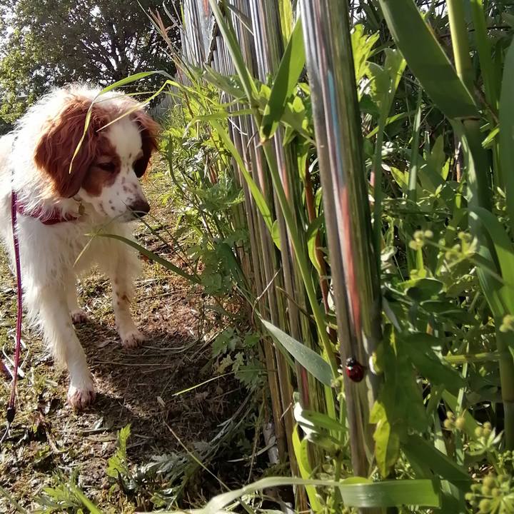 8803deef 735d 41d4 a6fa cec79c270ded 1618791253268