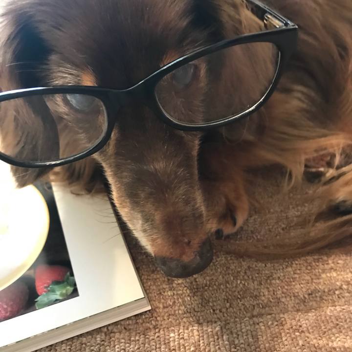 8803e11e 2a3b 42aa b003 f5e75c2aa2f3 1536974965135