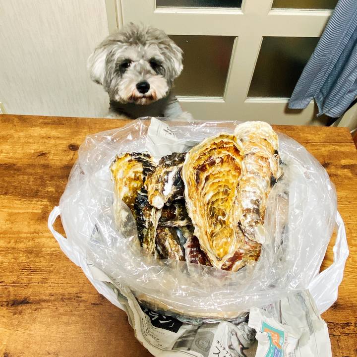 88041170 099f 4642 84db b4984df6737a 1614514038411